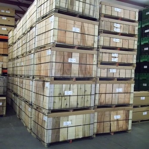 Shipping Policy Shipping Policy